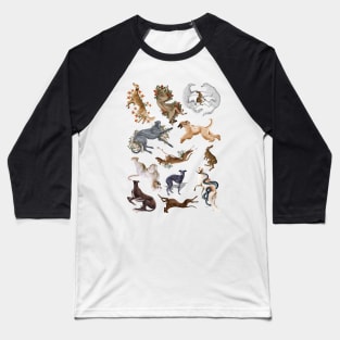 Sighthounds Baseball T-Shirt